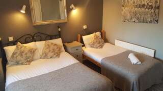 Отели типа «постель и завтрак» Keernaun House B&B Дандолк Двухместный номер с 2 отдельными кроватями-1
